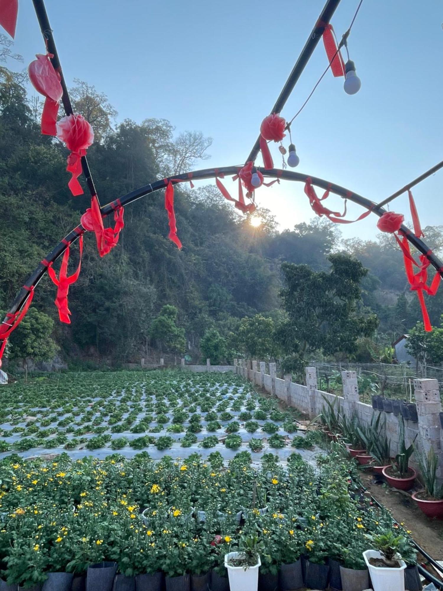 Moc Homestay 木州县 外观 照片